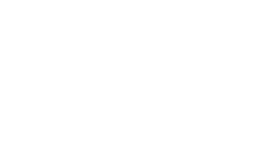 BV Pearl logo